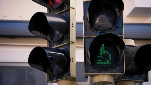 Unsere gemeinsame Initiative für das Bürgerbudget 2025, ausgewählte Fußgängerampeln mit Symbolen aus der Wissenschaft zu gestalten, wurde angenommen.